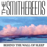 The Smithereens - Behind the Wall of Sleep (Live)