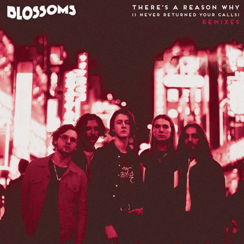 Blossoms - There's A Reason Why (I Never Returned Your Calls) (Remixes)