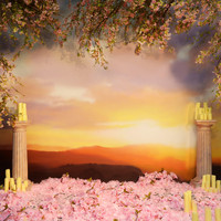 St. Lucia - A Brighter Love / Paradise Is Waiting