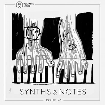 Various Artists - Synths And Notes 41