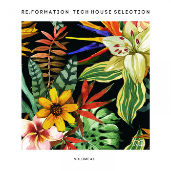 Various Artists - Re:Formation, Vol. 43 - Tech House Selection
