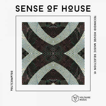 Various Artists - Sense Of House, Vol. 41