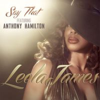 Leela James - Say That (feat. Anthony Hamilton)