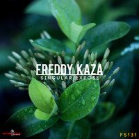 Freddy Kaza - Singular Expose
