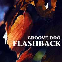 Groove Doo - Flashback
