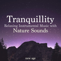 Tranquil Music Sound of Nature & Asian Zen Spa Music Meditation - Tranquillity: Relaxing Instrumental Music with Nature Sounds