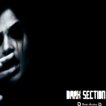 Various Artists - Dark Section Reloaded