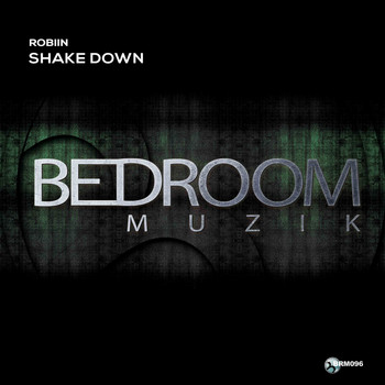 Robiin - Shake Down