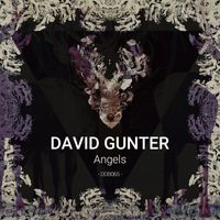 David Gunter - Angels