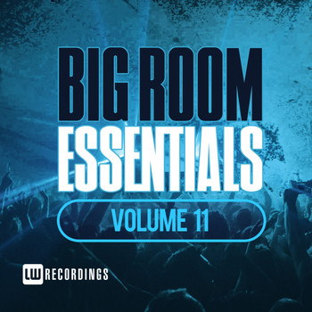 Various Artists - Big Room Essentials, Vol. 11