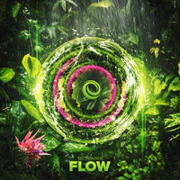Section303 - Flow