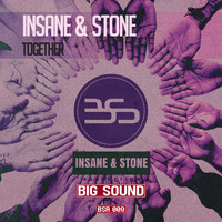 Insane & Stone - Together
