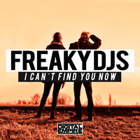 Freaky DJs - I Cant Find You Now