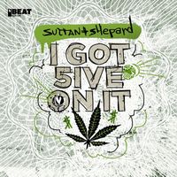 Sultan + Shepard - I Got 5 On It