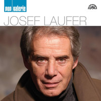 Josef Laufer - Pop Galerie