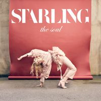 Starling - Pink Wallpaper