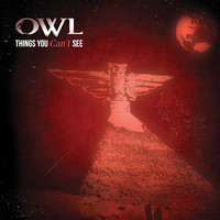 OWL - Things You Can't See