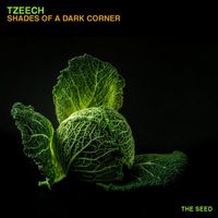 TZEECH - Shades of A Dark Corner