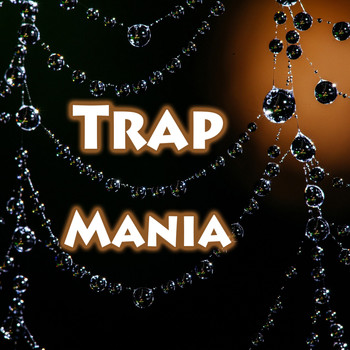 Various Artists - Trap Mania