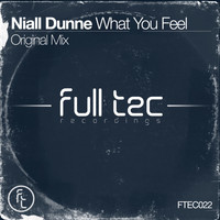 Niall Dunne - What You Feel