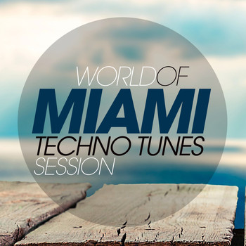 Various Artists - World of Miami Techno Tunes Session