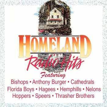 Various Artists - Homeland Radio Hits Vol 7