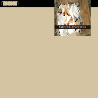 Sonar Lodge - Needlework