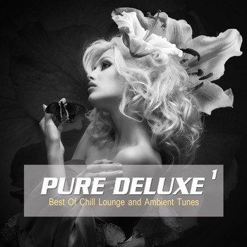 Various Artists - Pure Deluxe, Vol. 1 (Best of Chill Lounge and Ambient Tunes)