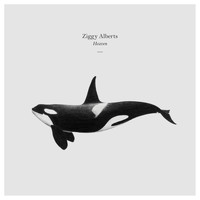 Ziggy Alberts - Heaven