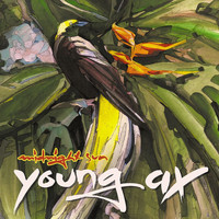 Young Ax - Midnight Sun