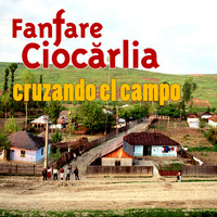 Fanfare Ciocarlia - Cruzando el Campo
