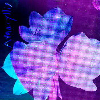 somme partel - Amaryllis