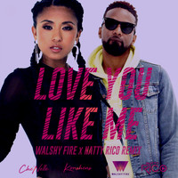 Che'Nelle - Love You Like Me (Remix) [feat. Konshens]