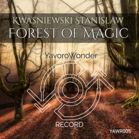 Kwasniewski Stanislaw - Forest of Magic