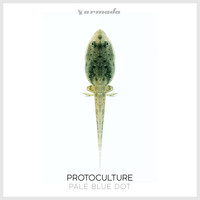Protoculture - Pale Blue Dot