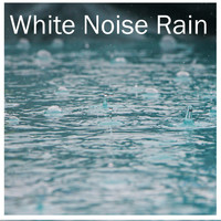 Zen Music Garden, White Noise Research, Nature Sounds - 12 White Noise and Zen Music Natural Rain Sounds