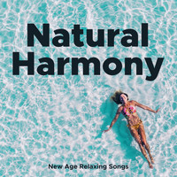 Exam Study Classical Music Orchestra & Calming Music Academy - Natural Harmony - New Age Relaxing Songs and Chakra Balancing for Spirituality