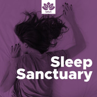 Classical Music Radio & Relaxation and Meditation - Sleep Sanctuary - Relaxing New Age Music to Help you Gall Asleep Easily in a Soft Atmosphere