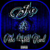 Ace - The Wild Card