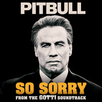 Pitbull - So Sorry (Explicit)