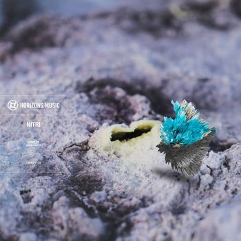 Nitri - Circles LP (Sampler)