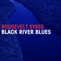 Roosevelt Sykes - Black River Blues