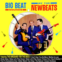 The Newbeats - Big Beat Sounds