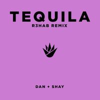 Dan + Shay - Tequila (R3HAB Remix)
