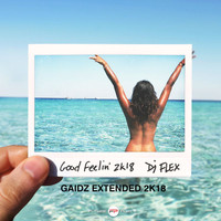 DJ Flex - Good Feelin' (Gaidz Extended 2k18)