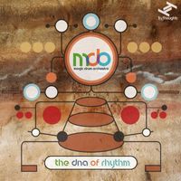 Magic Drum Orchestra - The DNA of Rhythm