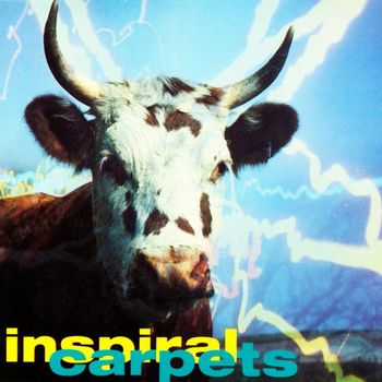 Inspiral Carpets - She Comes in the Fall