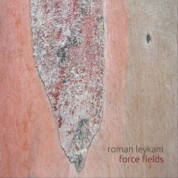 Roman Leykam - Force Fields