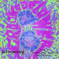 Crooked Flower - Blooming -- The Light Rail Sessions