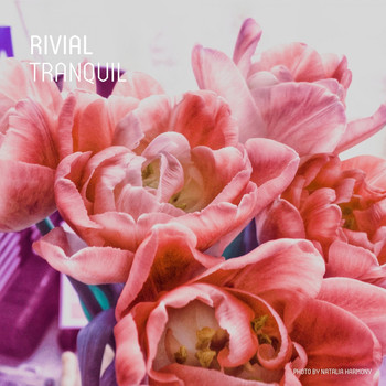 Rivial - Tranquil